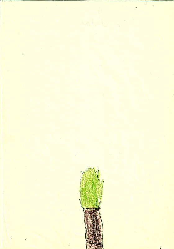 4294.jpg